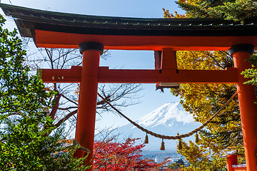 Image showing Torii, maple tree and Mount Fuji in Japan