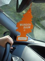 Image showing Wunder Baum