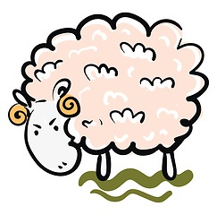 Image showing An angry ram with pink wool looks cute vector or color illustrat