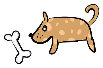 Image showing Brown dog with a bone vector or color illustration