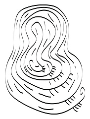 Image showing Pattern of curls vector or color illustration