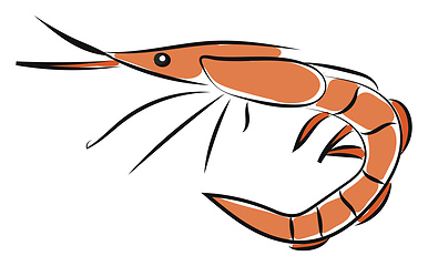 Image showing Clipart of an orange-colored shrimp/Sea-creature/Prawn vector or