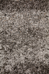 Image showing Vertical background textured of stone wall, copyspace ready for design, wallpaper