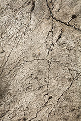 Image showing Vertical background textured of stone wall, copyspace ready for design, wallpaper