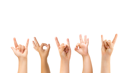 Image showing Kids hands gesturing isolated on white studio background, copyspace for ad