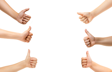 Image showing Kids hands gesturing isolated on white studio background, copyspace for ad