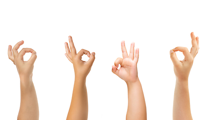 Image showing Kids hands gesturing isolated on white studio background, copyspace for ad