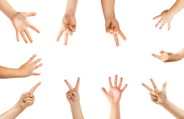 Image showing Kids hands gesturing isolated on white studio background, copyspace for ad