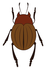 Image showing A brown beetle with six legs vector or color illustration