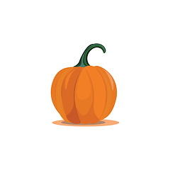 Image showing A pumpkin vector or color illustration