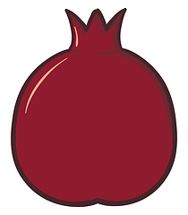 Image showing Pomegranate, vector or color illustration.