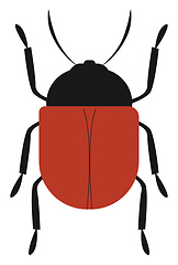 Image showing Image of beetle, vector or color illustration.