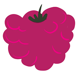 Image showing Raspberries, vector or color illustration.