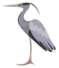 Image showing Image of egret, vector or color illustration.