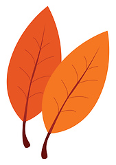 Image showing Two leaves with orange colour, vector or color illustration.