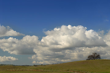 Image showing Lone tree on a California hill under a cloud filled sky