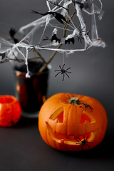 Image showing pumpkins, candles and halloween decorations