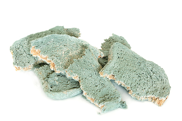 Image showing Dangerous Green Moldy Bread Slices