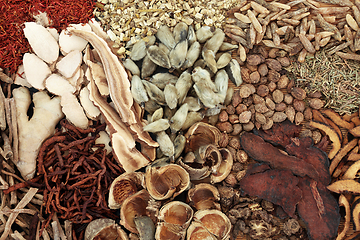 Image showing Traditional Plant Based Chinese Herb and Spice Collection 