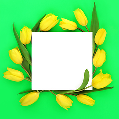 Image showing Spring Tulip Flower Abstract Square Shaped Wreath  