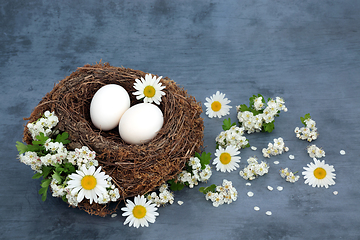 Image showing Healthy Fresh Eggs for Breakfast