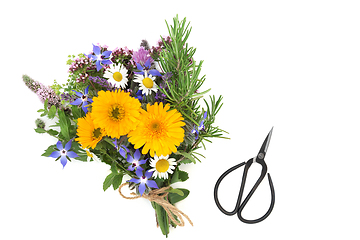 Image showing Medicinal Herbs and Flowers for Natural Health Care 