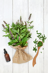 Image showing Peppermint Herb Leaves for Essential Oil  