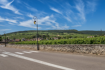 Image showing View to the road and vineyard in Burgundy Bourgogne home of pinot noir and chardonnay in summer day with blue sky. Cote d'Or
