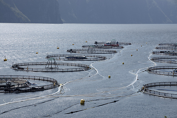 Image showing Farm salmon fishing in Norway