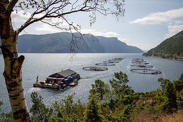 Image showing Farm salmon fishing in Norway