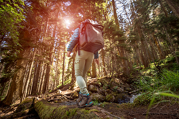 Image showing Hiking woman walk with a hiking backpack in spring green forest