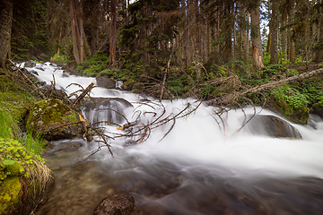 Image showing Mountain River in the wood. Beautiful wildlife landscape.