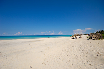 Image showing Tropical beach