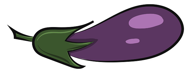 Image showing Image of eggplant, vector or color illustration.