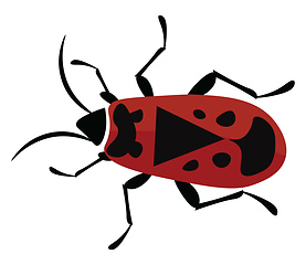 Image showing Firebug, vector or color illustration.