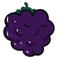 Image showing Image of blackberry, vector or color illustration.