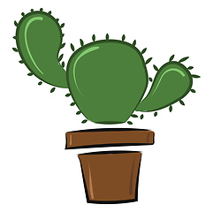 Image showing Image of cactus icon, vector or color illustration.