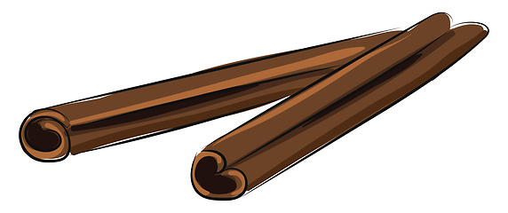 Image showing Image of cinnamon, vector or color illustration.