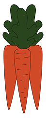 Image showing Image of carrot, vector or color illustration.