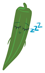 Image showing Sleeping okra, vector or color illustration.