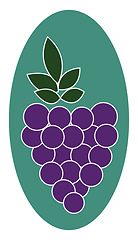 Image showing Grapes, vector or color illustration.