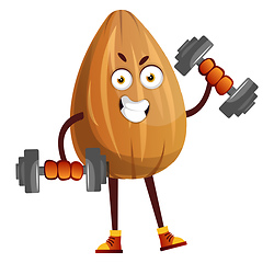Image showing Almond lifting weights, illustration, vector on white background