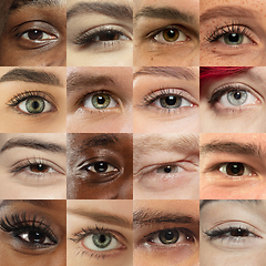 Image showing Set, collage of different types of male and female eyes