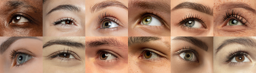 Image showing Set, collage of different types of male and female eyes