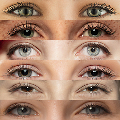 Image showing Set, collage of different types of male and female eyes