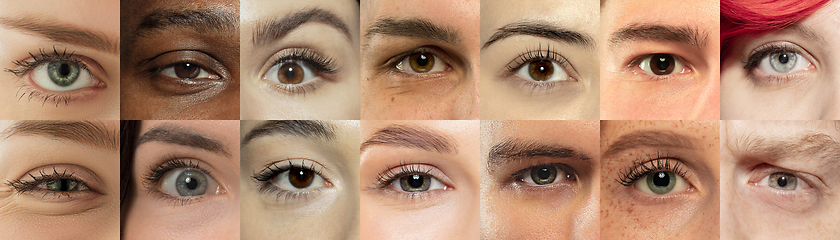 Image showing Set, collage of different types of male and female eyes