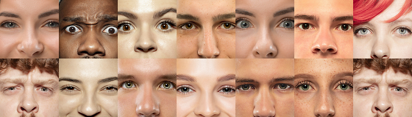 Image showing Set, collage of different types of male and female eyes