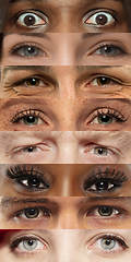 Image showing Set, collage of different types of male and female eyes