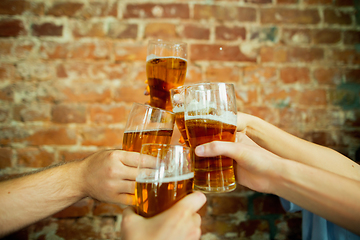 Image showing Young group of friends drinking beer, having fun, laughting and celebrating together. Close up clinking beer glasses