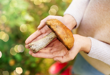 Image showing close up of woman hands holding mushroom in forest